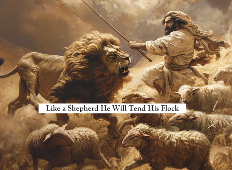 He Shall Feed His Flock Like a Shepherd